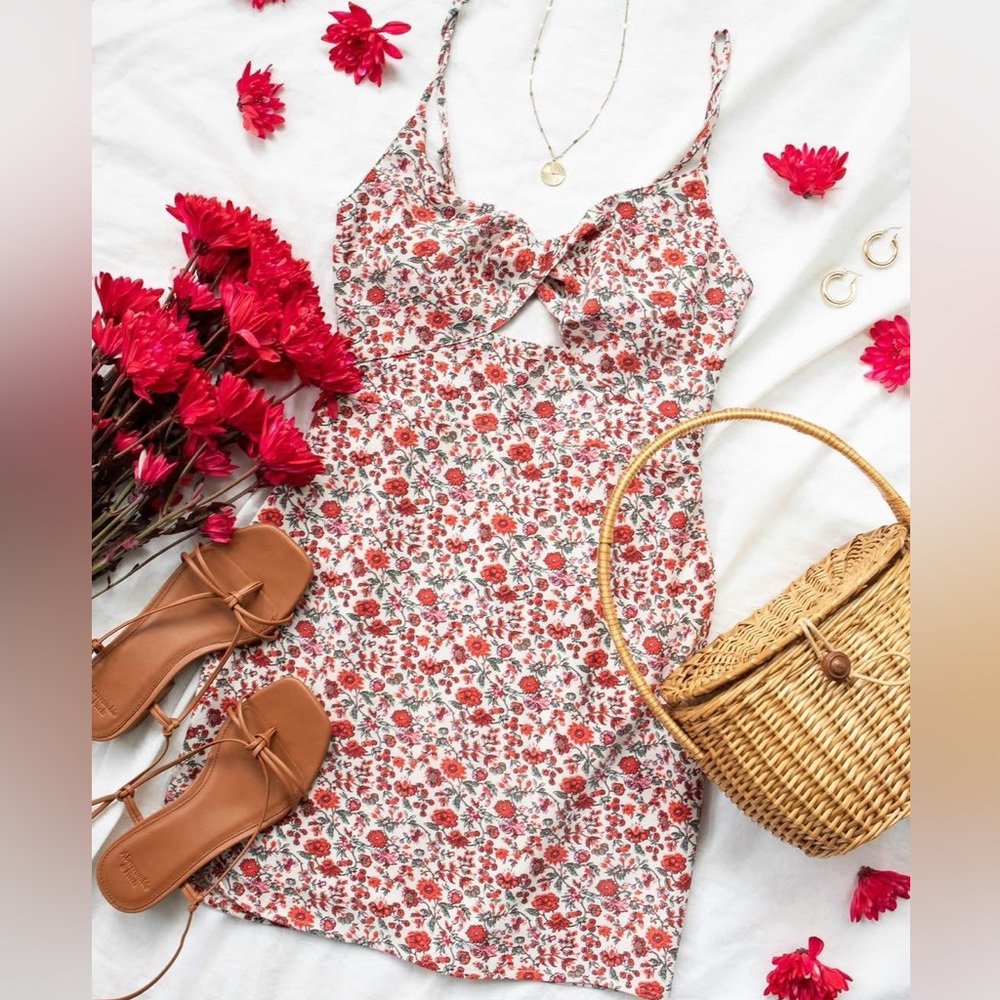 Abercrombie Floral Twist-Front Mini Dress